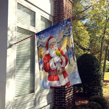 Load image into Gallery viewer, Green Cheeked Conure Parrot with Santa Claus House Flag
