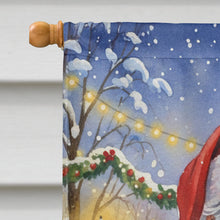 Load image into Gallery viewer, Green Cheeked Conure Parrot with Santa Claus House Flag