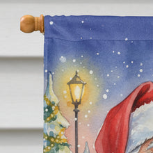 Load image into Gallery viewer, Hahn�s Macaw Parrot with Santa Claus House Flag
