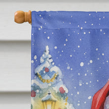 Load image into Gallery viewer, Indian Parakeet with Santa Claus House Flag