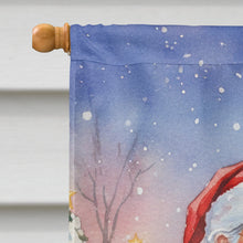Load image into Gallery viewer, Lorikeet with Santa Claus House Flag