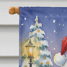 Load image into Gallery viewer, Red Bellied Parrot with Santa Claus House Flag