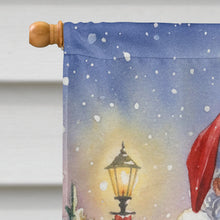 Load image into Gallery viewer, Timneh African Grey with Santa Claus House Flag