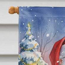 Load image into Gallery viewer, White Bellied Caique with Santa Claus House Flag
