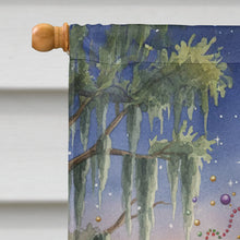 Load image into Gallery viewer, Cajun Santa Claus in the Bayou Christmas Parade Christmas House Flag