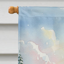Load image into Gallery viewer, Santa Claus Skiing Downhill Christmas House Flag
