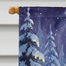 Load image into Gallery viewer, Santa Claus with a Lantern in the Woods Christmas House Flag