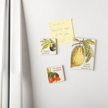 Load image into Gallery viewer, Fruit Puns Magnetic Memo Holder Set | 3 Magnets on a Metal Gift Backing