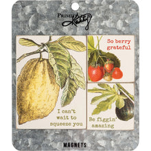 Load image into Gallery viewer, Fruit Puns Magnetic Memo Holder Set | 3 Magnets on a Metal Gift Backing