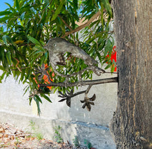 Load image into Gallery viewer, Outdoor Tree Decor- Large Bird