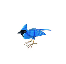 Load image into Gallery viewer, Standing Blue Jay