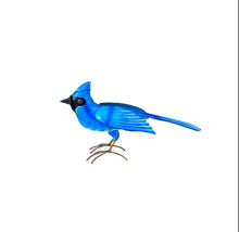 Load image into Gallery viewer, Standing Blue Jay