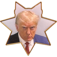 Load image into Gallery viewer, BL6-013 Fulton County Sheriff Georgia President Donald J. Trump MAGA Mugshot Challenge Coin
