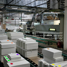 Load image into Gallery viewer, 2&quot; Permanent Color-Code Round Dot Inventory Labels: 500/Roll