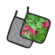 Load image into Gallery viewer, Raddish by Gary Kwiatek Pot Holders - Set of 2 Decorative Kitchen Helpers | Made in the USA