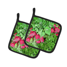 Load image into Gallery viewer, Raddish by Gary Kwiatek Pot Holders - Set of 2 Decorative Kitchen Helpers | Made in the USA