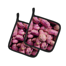 Load image into Gallery viewer, Sweet Potatoe by Gary Kwiatek Pot Holders - Set of 2 Decorative Kitchen Helpers | Made in the USA