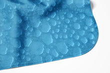 Load image into Gallery viewer, Blue Monster Soft and Absorbent Hooded Baby Towel
