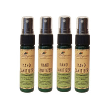 Load image into Gallery viewer, Hand Sanitizer (4 Pack) 1oz