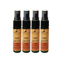 Load image into Gallery viewer, Hand Sanitizer (4 Pack) 1oz