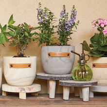 Load image into Gallery viewer, I Will Survive Paulownia Wood Planter | 5" Tall