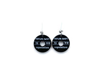 Load image into Gallery viewer, Album Earrings