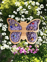 Load image into Gallery viewer, **Pre-order (Ships in 3-4 Weeks)**Beechwood Sensory Sorting Tray