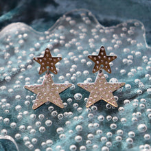 Load image into Gallery viewer, Bedazzling Titanium Star Earrings