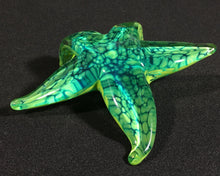 Load image into Gallery viewer, Tropical Paradise Starfish