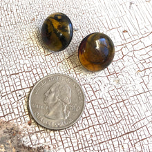 Load image into Gallery viewer, Tortoise Brown Marbled Retro Button Stud Earrings