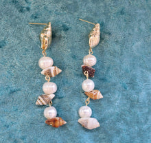 Load image into Gallery viewer, Sally's Seashells by the Sea Shore Earrings