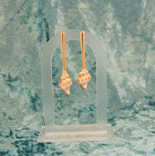 Load image into Gallery viewer, Conch Shell Earrings