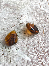 Load image into Gallery viewer, Tortoise Scalloped Fan Lucite Stud Earrings