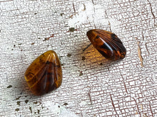 Load image into Gallery viewer, Tortoise Scalloped Fan Lucite Stud Earrings