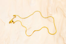 Load image into Gallery viewer, Thin Titanium Necklace