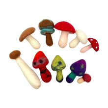 Load image into Gallery viewer, **Pre-order (Ships in 2-3 Weeks)**Handmade in Nepal 100% Wool Felt Foods Play Set for Pretend Cooking and Farmer&#39;s Market Play