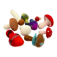 Load image into Gallery viewer, **Pre-order (Ships in 2-3 Weeks)**Handmade in Nepal 100% Wool Felt Foods Play Set for Pretend Cooking and Farmer&#39;s Market Play