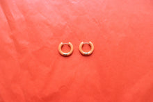 Load image into Gallery viewer, "I'm an Autumn" Titanium Hoop Earrings