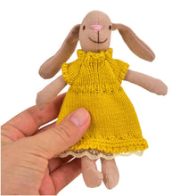 Load image into Gallery viewer, **Pre-order (Ships in 2-3 Weeks)**Miniature Bunnies