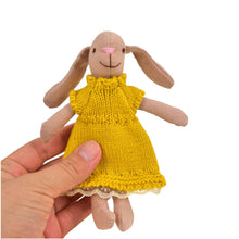 Load image into Gallery viewer, **Pre-order (Ships in 2-3 Weeks)**Miniature Bunnies