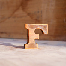Load image into Gallery viewer, Little Wooden Letters