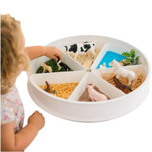 Load image into Gallery viewer, Sensory Play Tray with Removable Compartments and Lid
