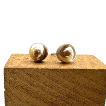 Load image into Gallery viewer, Beige &amp; Brown Swirl Stud Earrings