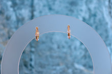 Load image into Gallery viewer, The Sadie Hoop