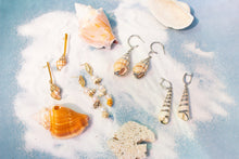 Load image into Gallery viewer, Turritella Shell Earrings