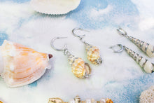 Load image into Gallery viewer, Cinerea Shell Earrings