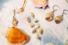 Load image into Gallery viewer, Sally's Seashells by the Sea Shore Earrings