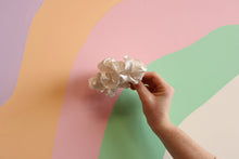 Load image into Gallery viewer, Dixie’s Scrunchies