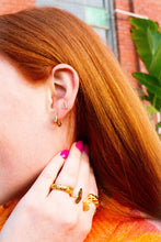 Load image into Gallery viewer, Split Butterfly Titanium Ring