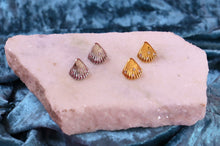 Load image into Gallery viewer, Titanium Shimmer Shell Studs